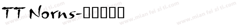 TT Norns字体转换